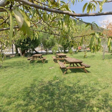 Residence Riviera Mare Пиетра Лигуре Екстериор снимка